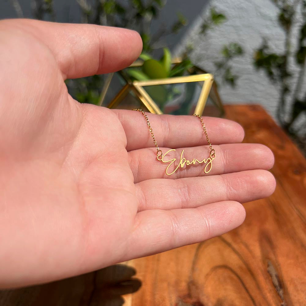 To My Braveheart Niece - From Aunt to Niece Signature Name Necklace